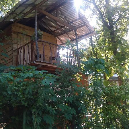 Apartament Angry Birds Tree House Habarana Zewnętrze zdjęcie
