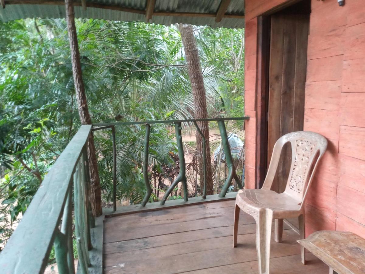 Apartament Angry Birds Tree House Habarana Zewnętrze zdjęcie