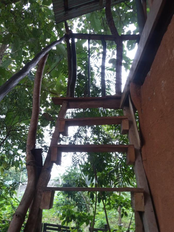 Apartament Angry Birds Tree House Habarana Zewnętrze zdjęcie