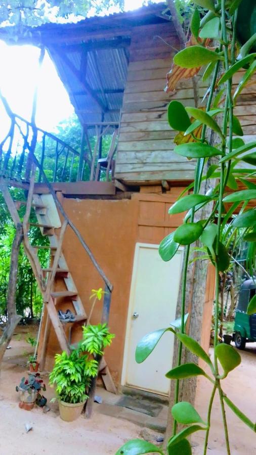 Apartament Angry Birds Tree House Habarana Zewnętrze zdjęcie
