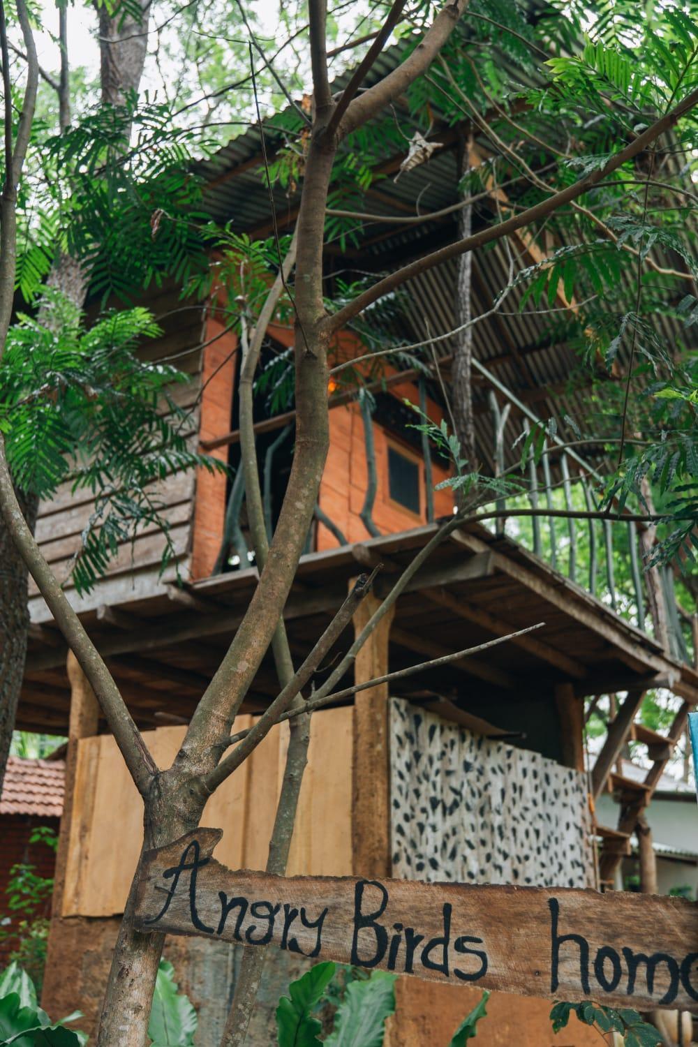 Apartament Angry Birds Tree House Habarana Zewnętrze zdjęcie