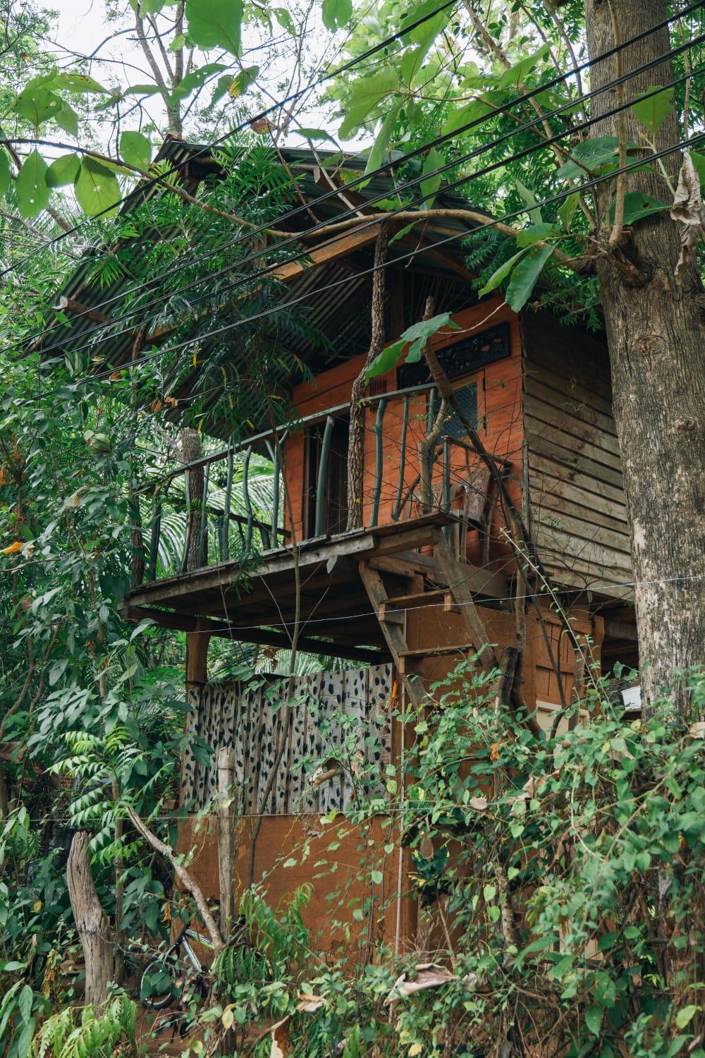 Apartament Angry Birds Tree House Habarana Zewnętrze zdjęcie