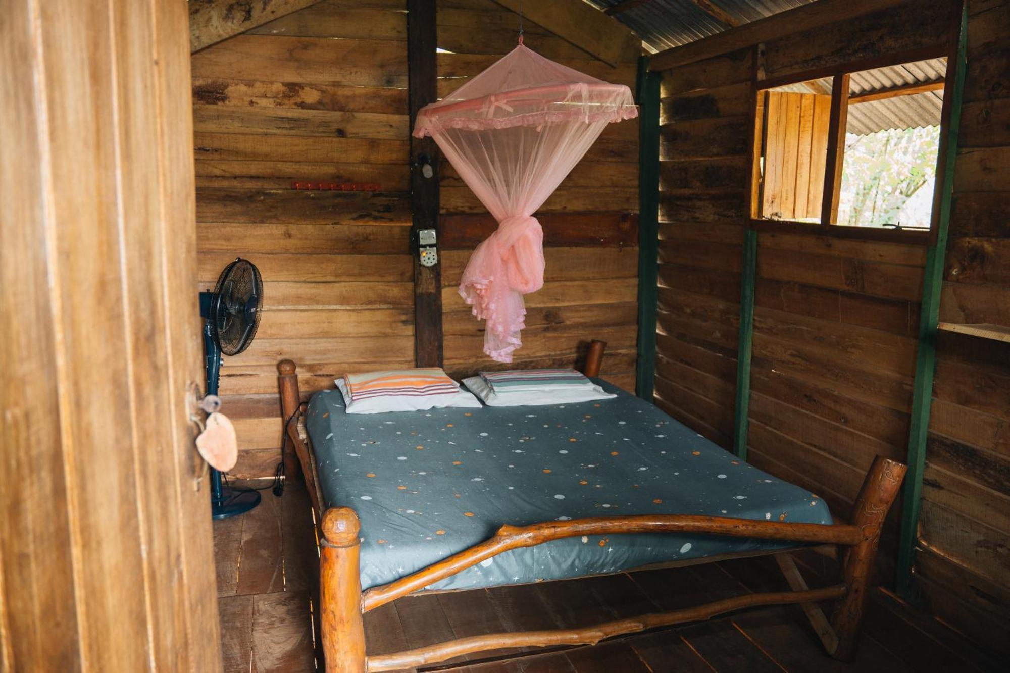 Apartament Angry Birds Tree House Habarana Zewnętrze zdjęcie