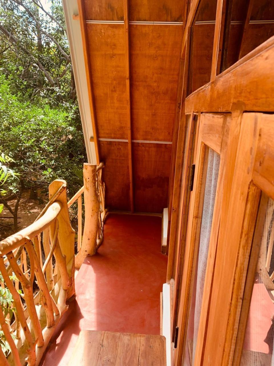 Apartament Angry Birds Tree House Habarana Zewnętrze zdjęcie