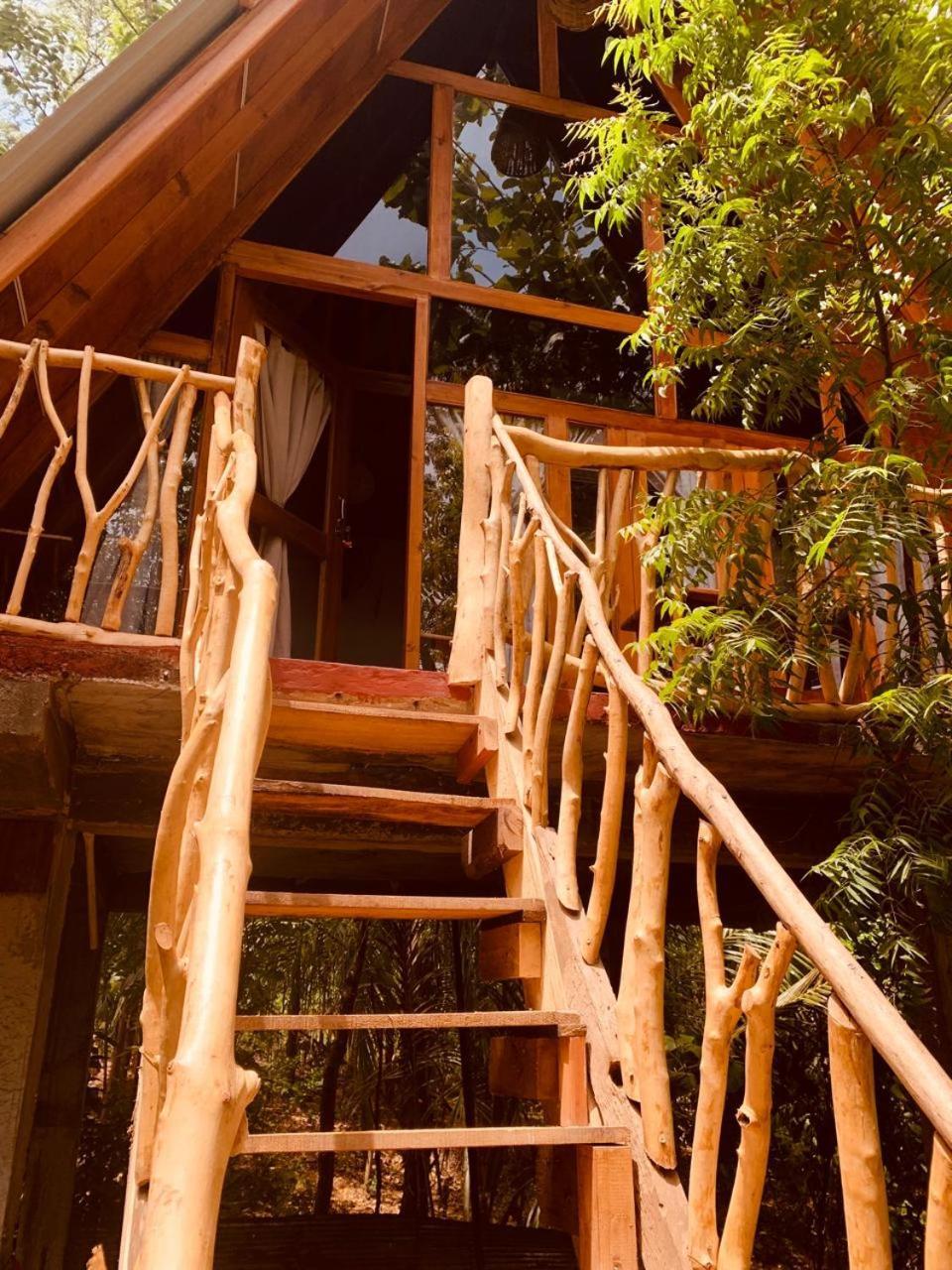 Apartament Angry Birds Tree House Habarana Zewnętrze zdjęcie