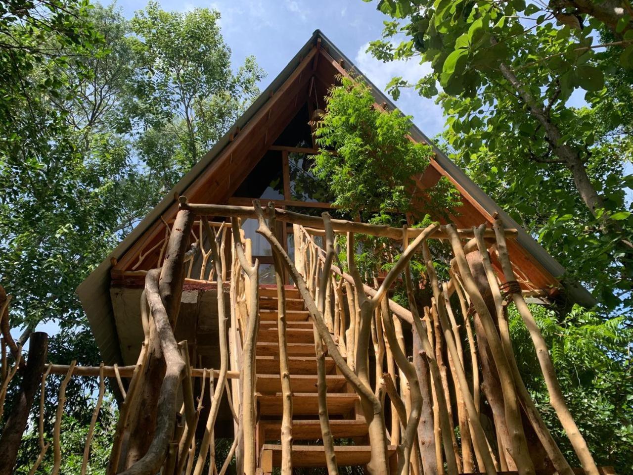 Apartament Angry Birds Tree House Habarana Pokój zdjęcie