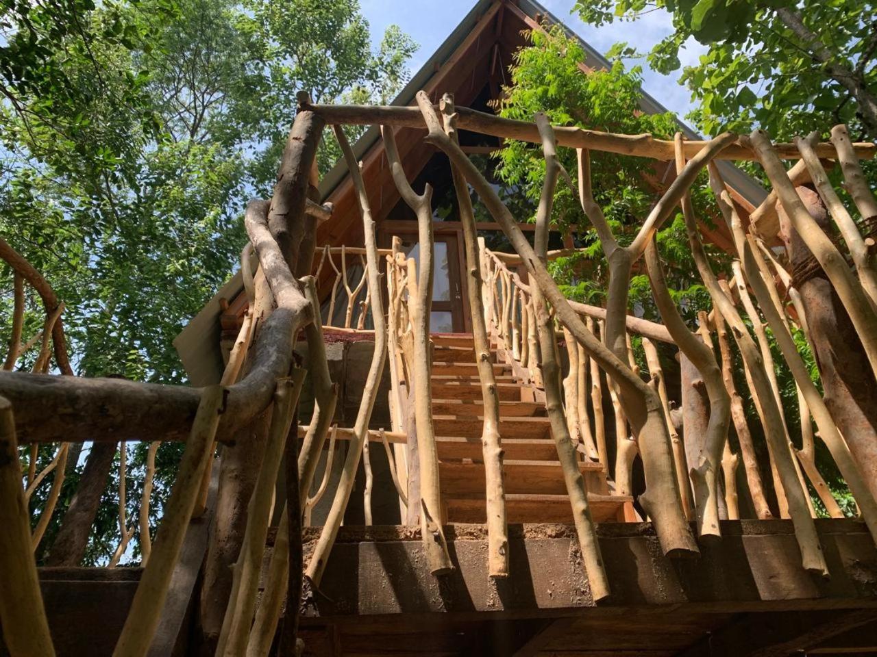 Apartament Angry Birds Tree House Habarana Zewnętrze zdjęcie