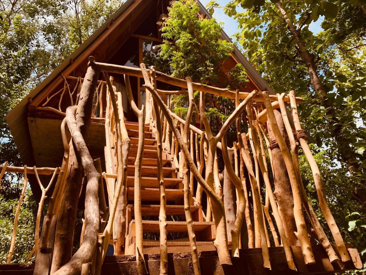 Apartament Angry Birds Tree House Habarana Zewnętrze zdjęcie