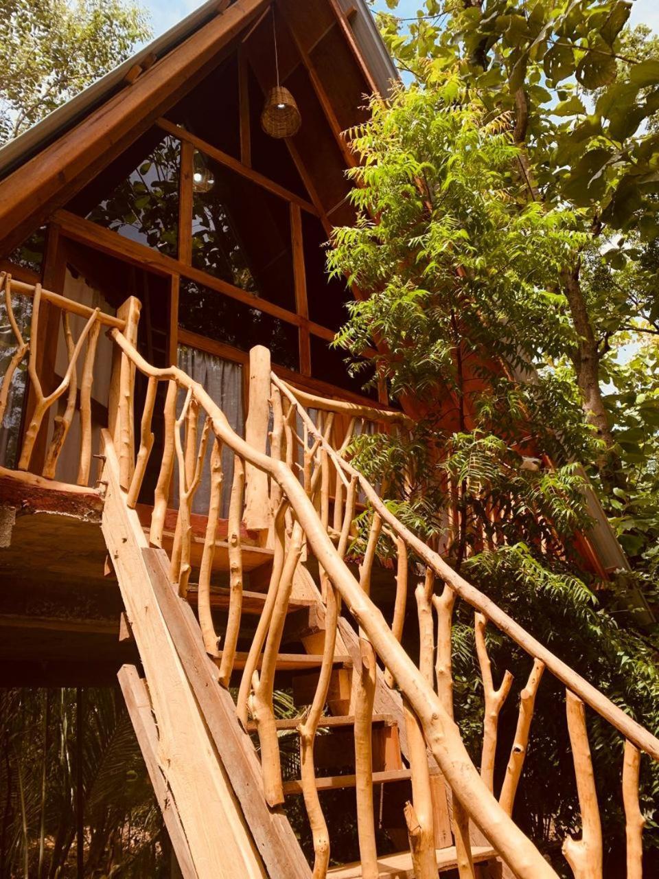 Apartament Angry Birds Tree House Habarana Zewnętrze zdjęcie
