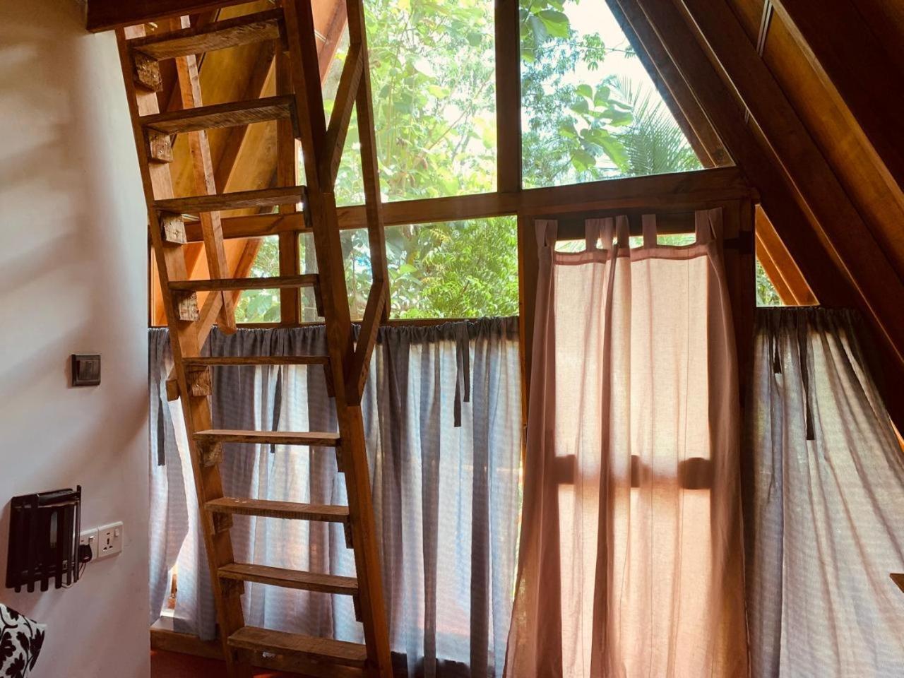 Apartament Angry Birds Tree House Habarana Zewnętrze zdjęcie