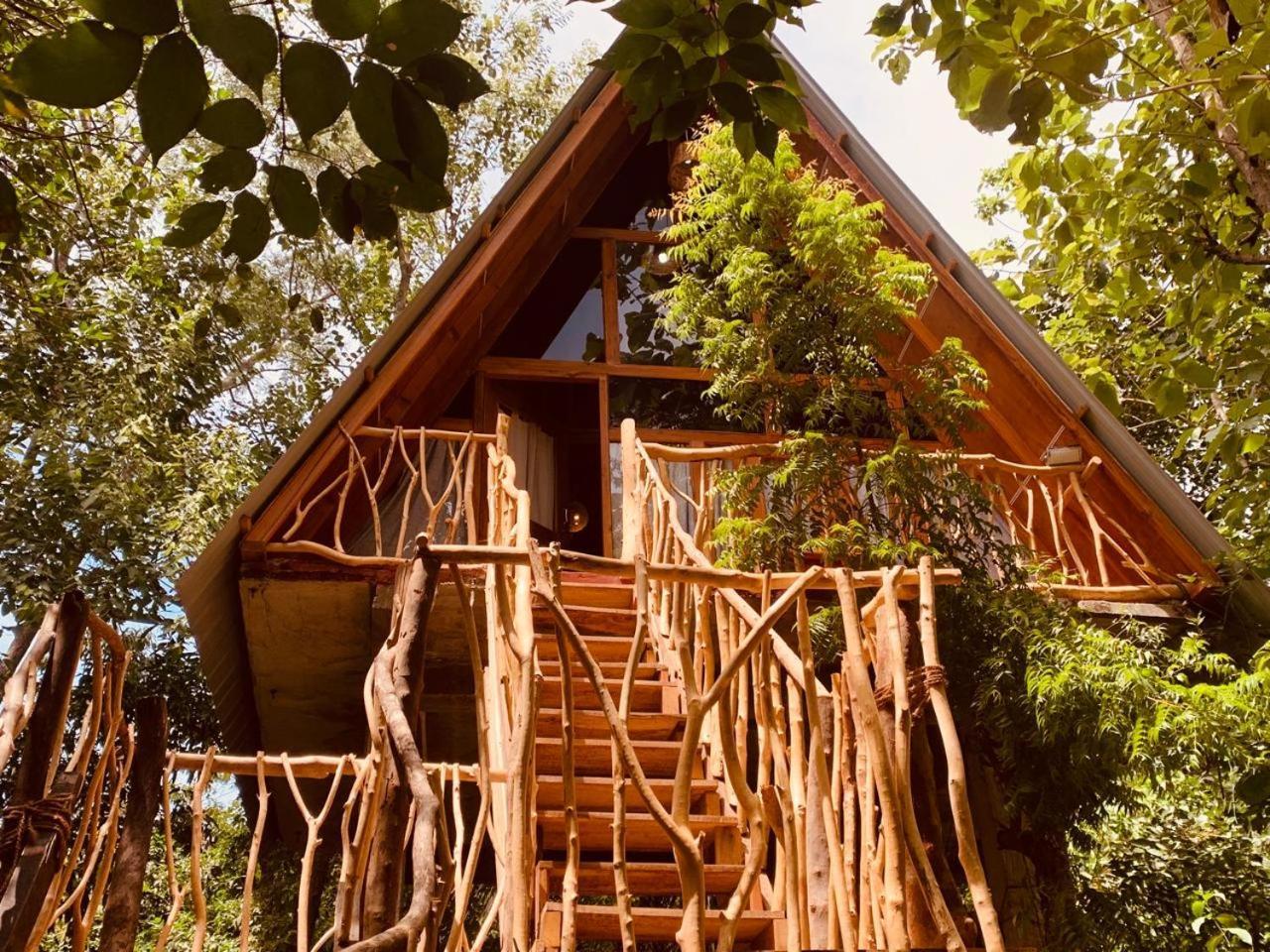 Apartament Angry Birds Tree House Habarana Zewnętrze zdjęcie