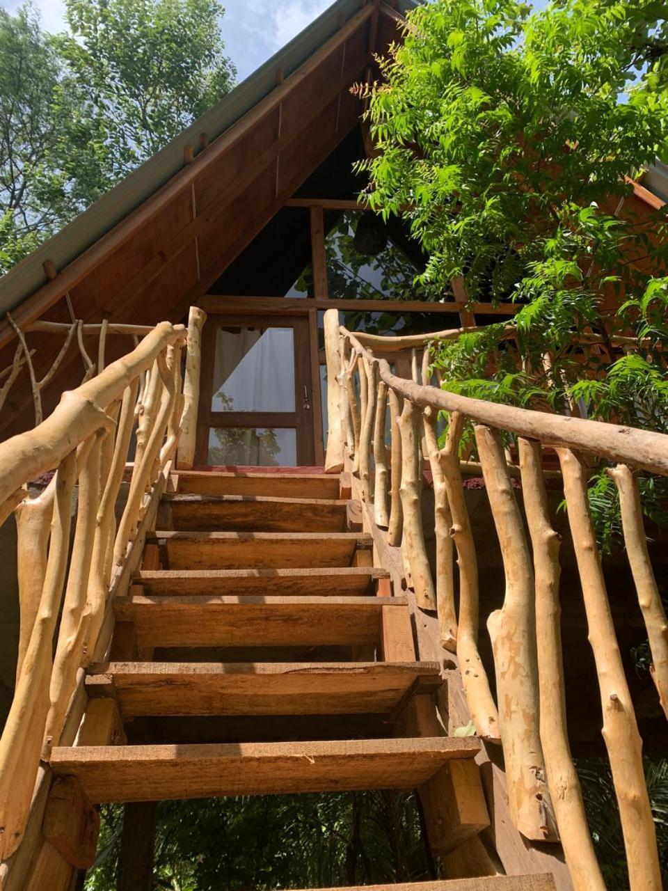 Apartament Angry Birds Tree House Habarana Zewnętrze zdjęcie