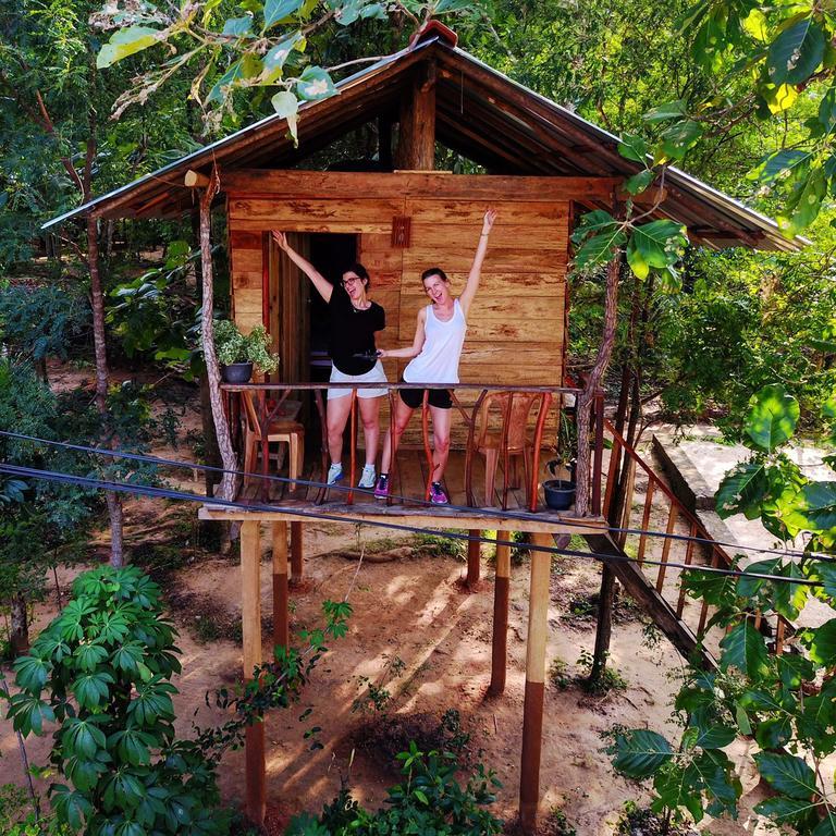 Apartament Angry Birds Tree House Habarana Zewnętrze zdjęcie