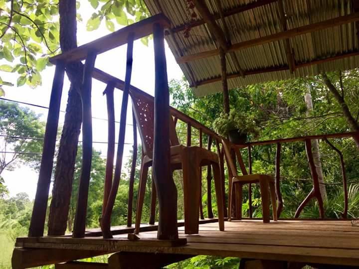Apartament Angry Birds Tree House Habarana Zewnętrze zdjęcie