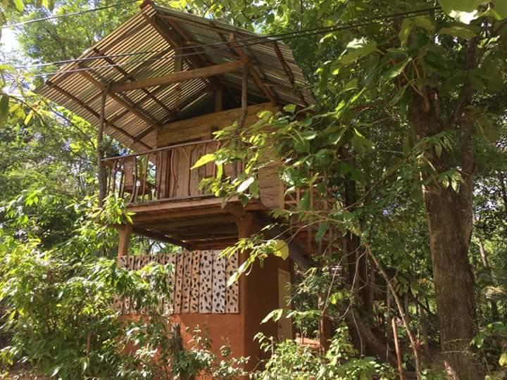 Apartament Angry Birds Tree House Habarana Zewnętrze zdjęcie