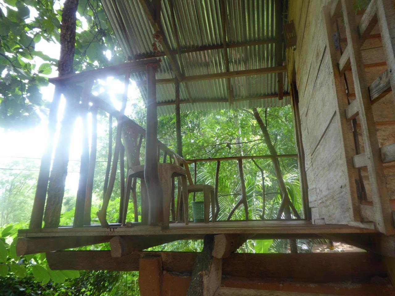 Apartament Angry Birds Tree House Habarana Zewnętrze zdjęcie