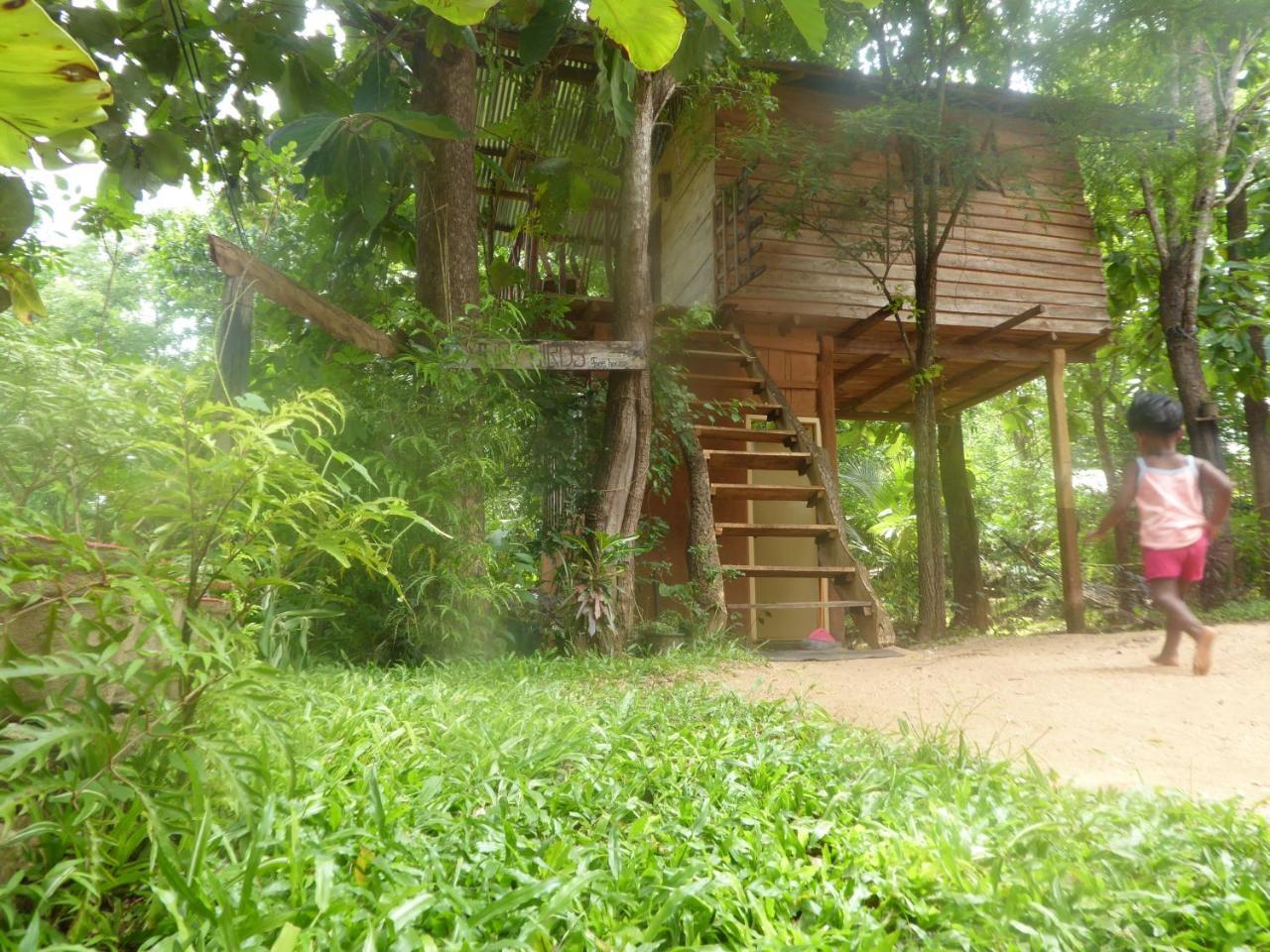 Apartament Angry Birds Tree House Habarana Zewnętrze zdjęcie