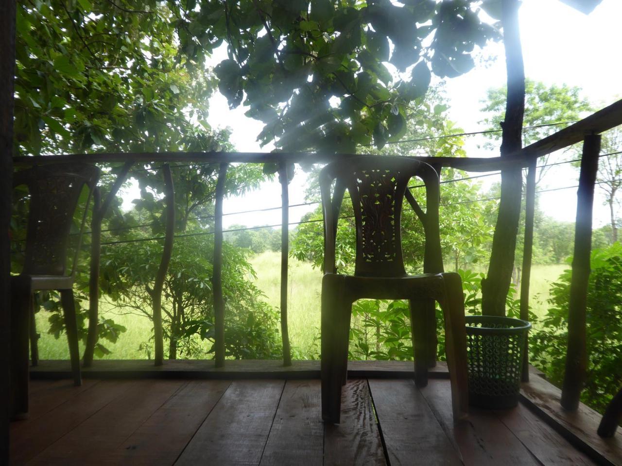 Apartament Angry Birds Tree House Habarana Zewnętrze zdjęcie