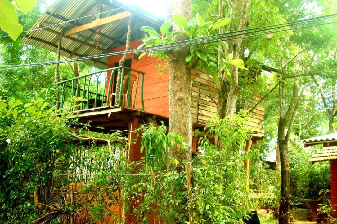 Apartament Angry Birds Tree House Habarana Zewnętrze zdjęcie